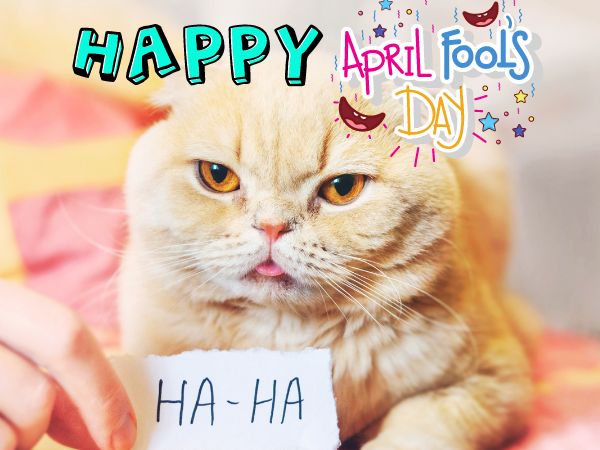 April fools day